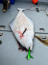 Moby Jig - Frankenstein UV